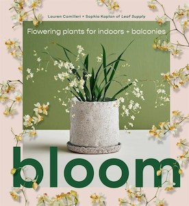 Bloom – A Little Bit Floral