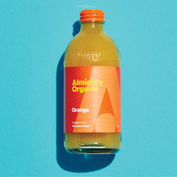 Soft drink wholesaling: Orange 12 x 300ml