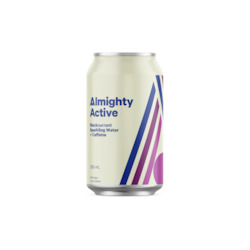 Soft drink wholesaling: Active Blackcurrant Sparkling Water 12 x 330ml