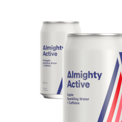 Soft drink wholesaling: Active Mixed Pack 12 x 330ml
