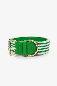 Sadie Stripe Belt Green