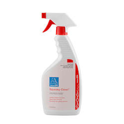 Swimming pool construction - concrete or fibre glass - below ground: BioGuard Squeaky Clean 500ml