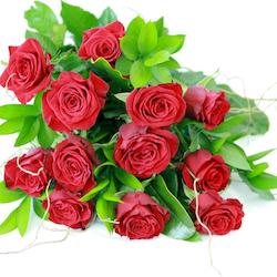 Florist: Valentines Day 12 Red Roses