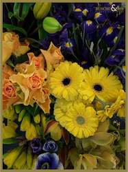 All: Purples and Yellows Florist Choice Bouquet