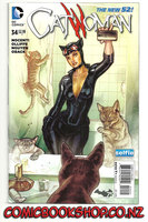 Adult, community, and other education: Catwoman Vol 4 34