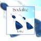 Sodalite hook earrings