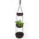 Hanging Baskets - Hogla leaf
