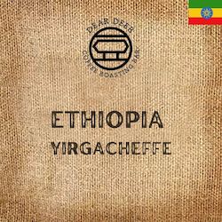 【Beans of the Month】Ethiopia Yirgacheffe Washed - Wholesale