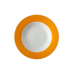 Wholesaling, all products (excluding storage and handling of goods): Plate - Orange - Deep/Soup