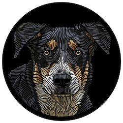 Creative art: Doggieology Art - Huntaway