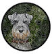 Doggieology Art - Schnauzer with pattern