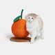 Cat Scratcher - Tangerine Ball