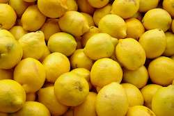 Farm produce or supplies wholesaling: Lemons