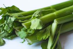 Farm produce or supplies wholesaling: Celery