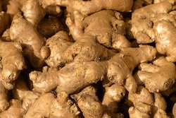 Farm produce or supplies wholesaling: Ginger - Thailand