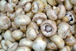Mushrooms â White Button