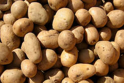 Farm produce or supplies wholesaling: Potatoes - Agria