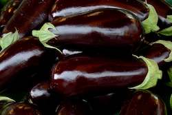 Farm produce or supplies wholesaling: Eggplant