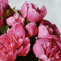 Bunch of Peony Roses