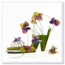 Gift: Hydrangea Sandal Greeting Card