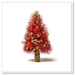 Gift: Christmas Greeting Card - Pohutukawa Tree