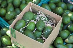 Frontpage: 3kg Mixed Box Avos