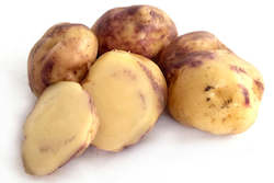 Vegetable Seeds: MÄori Potato âHuakaroroâ