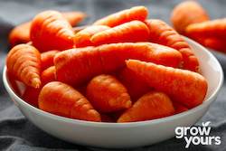Carrot âChantenay Red Coreâ