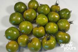 Tomato ‘Green Zebra’