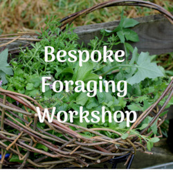 Foraging Workshops: Bespoke Foraging Session - Private Group