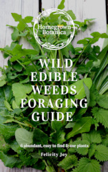 Foraging Workshops: PREORDER: Wild Edible Weeds Foraging Guide
