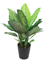 Stoneleigh Roberson Plants: ARTIFICIAL DIEFFENBACHIA 90CMH