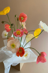 Flower of the Month - Poppies!