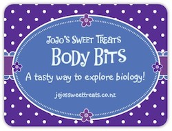 Ice cream: Body Bits Box