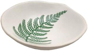 green fern on white