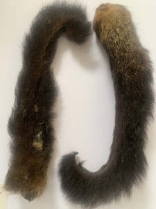 Possum Tails - with or without fur