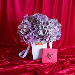 Flower: Love Actually- Hydrangeas with Free Heart Candy