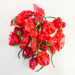Farm produce or supplies wholesaling: Hottie Box â The Hottest Fresh Chillies