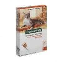 Flea Control - CAT My Vet - New Zealand's Largest Pet Pharmacy: Advantage kittens/small cats