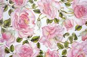 Wildflower: drawer liners - cottage rose