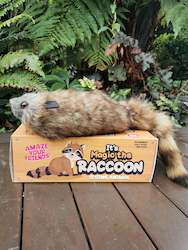 Pet: Spring Animal - Magic the raccoon