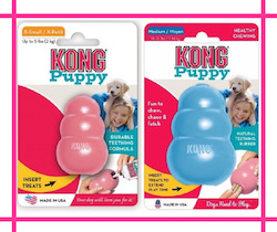 Store-based retail: Kong Puppy