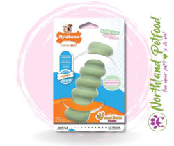 SALE 15% OFF AT CHECKOUT -- Nylabone Puppy Chew Tactile Stick - Regular
