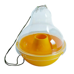 Other Pests: Wasp Dome Trap