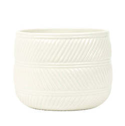 The Ceramic Weave Basket Plant Pot (Includes Shipping)