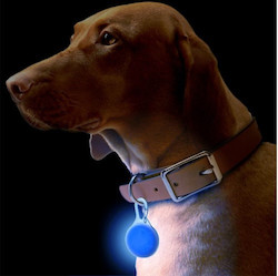 Animal or pet boarding: Silicone LED Flashing Night Light for Dogs Puptrek