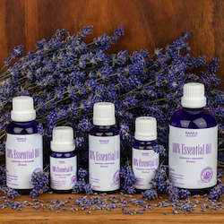 Lavender oil extraction: Lavender Oil lavandula Angustifolia (Violet Intrigue) 10ml