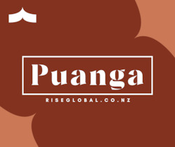 Puanga - retreat, reflect, and rise!