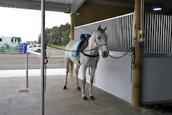 Horse training (working horses): Facility Hire