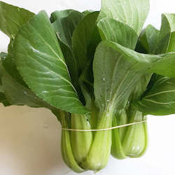 Vegetable growing: Pak Choi -  2 or 3 to a bunch